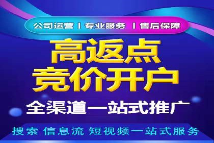 竞价推广SEM托管实战案例分析